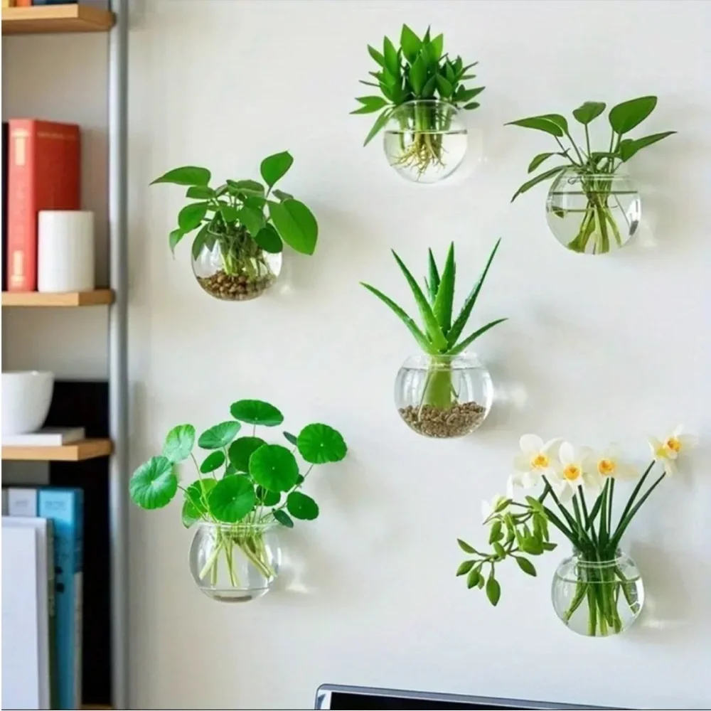 🌿 6 Pc Set of Glass Wall Planter Bowls Brighten Up Your Room 🌾🪴🎋🍃